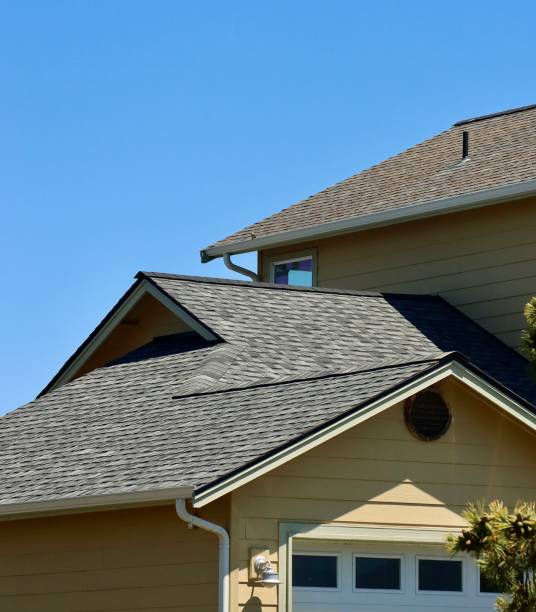 Professional Roofing Services in Velva, ND